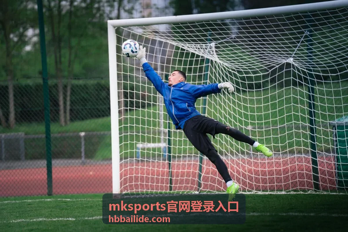 mksports官网登录入口集中导航示意