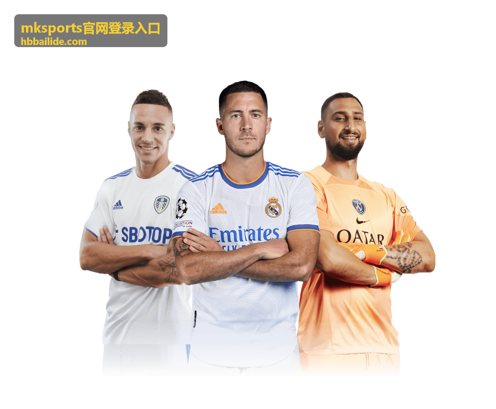 mksports官网登录入口首次访问场景示意